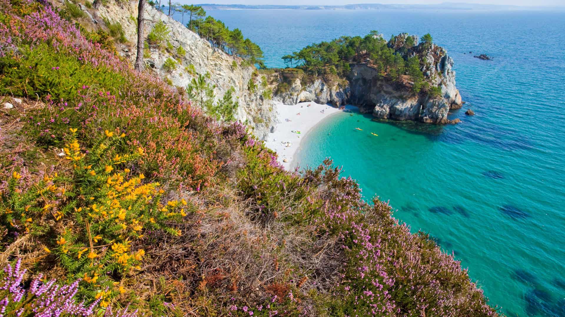 presqu'île de crozon, île vierge, près du gr 34, au sud de morgat, finistère, bretagne